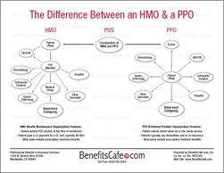 Hmo Vs Ppo Comparison Chart